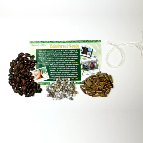 Rainforest Seed Bracelet Project