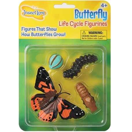 Painted Lady Butterfly Life Cycle Stage Figures