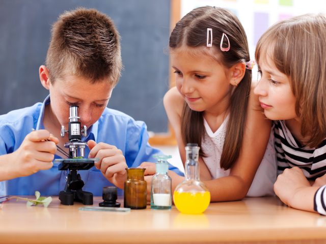 Engaging STEM Curricula and Classroom Activities for Teachers