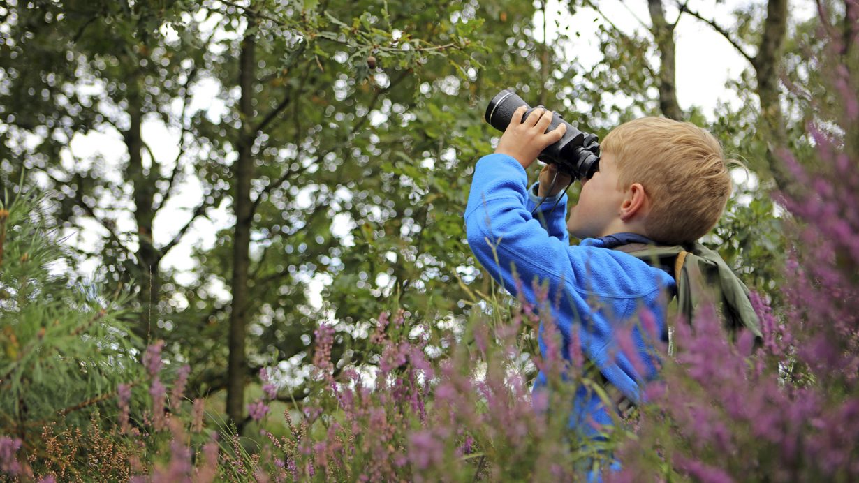 spring bird watching activities for kids