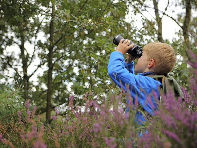 Spring is Almost Here, Let the Bird-Watching Activities for Kids Begin