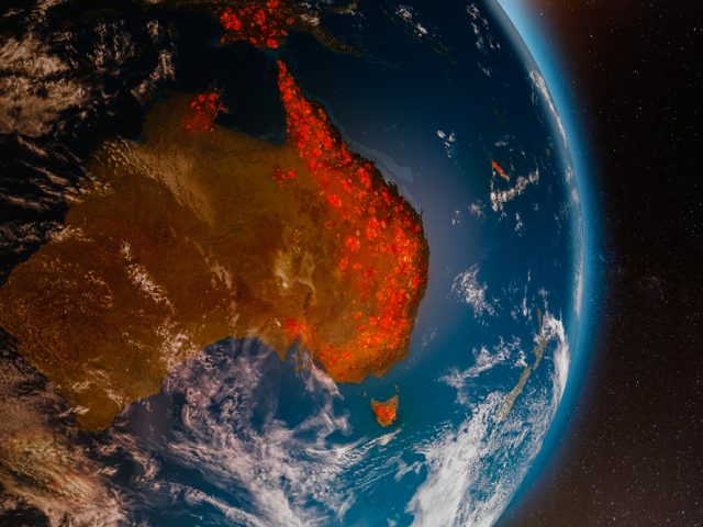 How the Australia Wildfires will Impact the Area’s Ecology