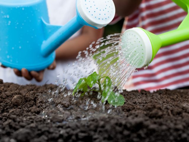 Gardening Teaches Sustainability To A Generation Who Needs It