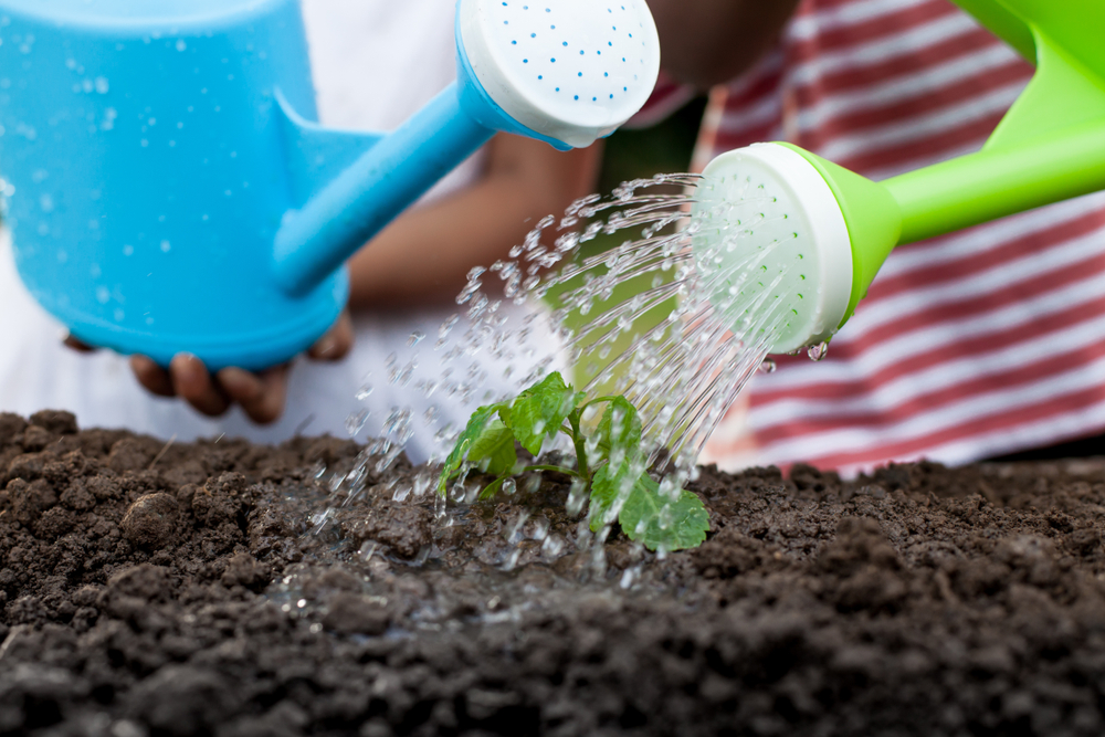 Gardening Craft Kits for Kids