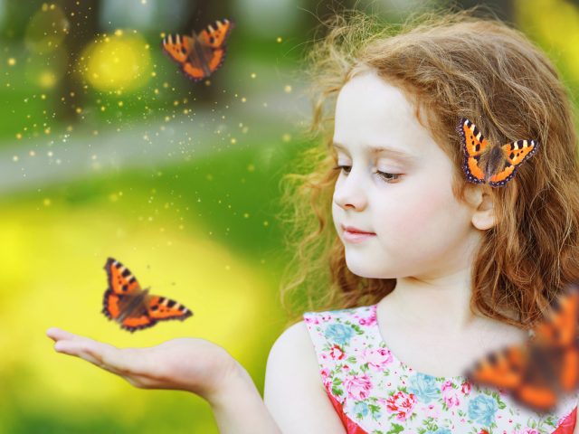 All A Flutter – Teaching Students About Butterflies