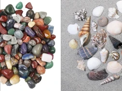 Rocks, Minerals & Shells