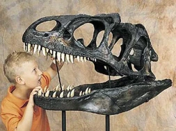 Dinosaurs, Fossils, and Archaeology