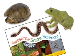 Reptiles & Amphibians