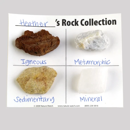 Metamorphic Rock Collection