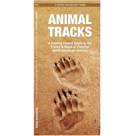 Curious Nature: Animal tracks tell a story