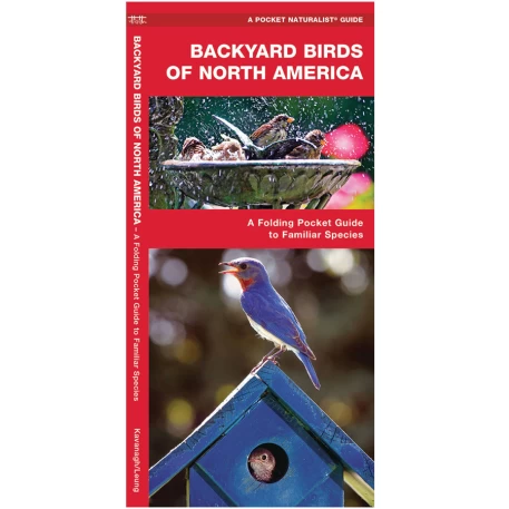 Backyard Birds of North America Pocket Naturalist Guide
