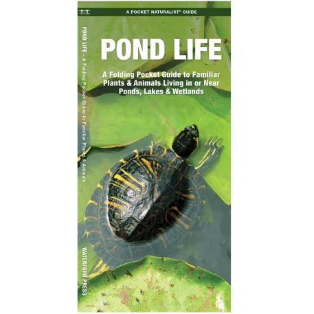 Pond Life Pocket Naturalist Guide