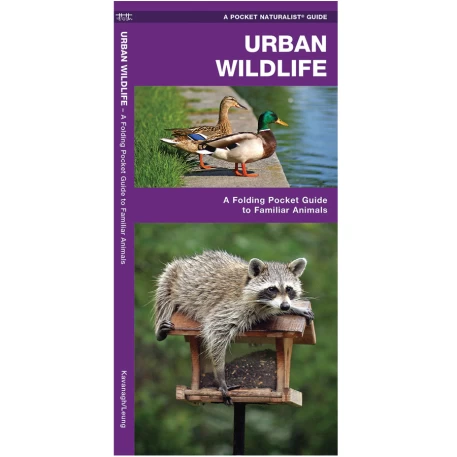 Urban Wildlife Pocket Naturalist Guide