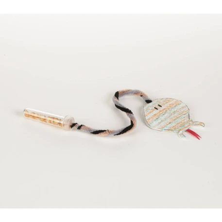 Rattlesnake Activity Kit