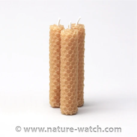 Honeycomb Candle Activity Kit