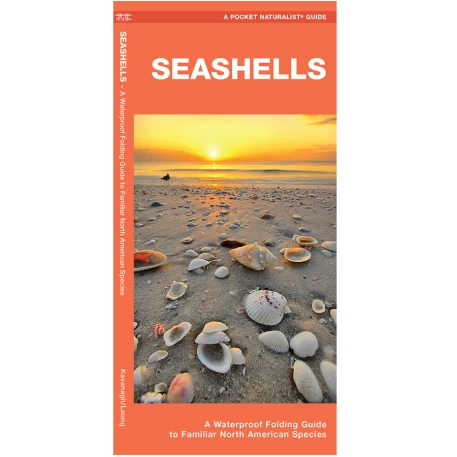 Seashells Pocket Naturalist Guide
