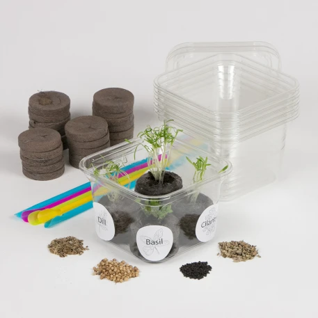 Herb Garden Greenhouse Activity Kit
