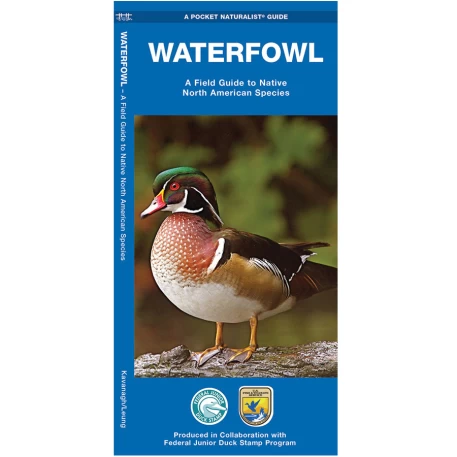 Waterfowl Pocket Naturalist Guide