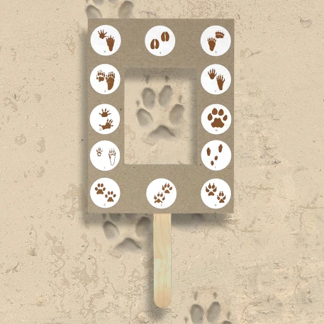 Animal Track Identifier Project