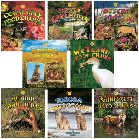Food Chain Book Set (8 Books)