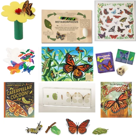 Butterfly Bundle
