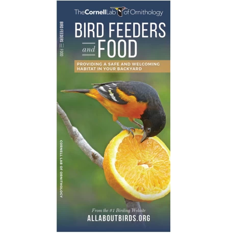 Bird Feeders & Food: Cornell Lab Pocket Guide