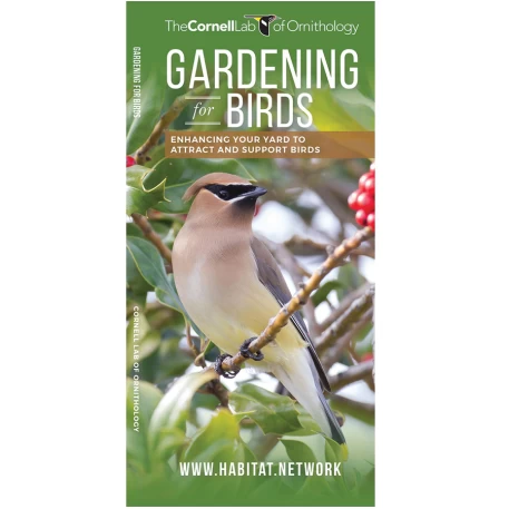 Gardening for Birds: Cornell Lab Pocket Guide