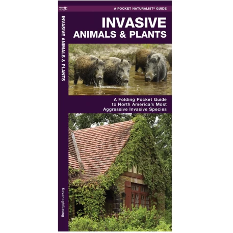 Invasive Animals & Plants Pocket Naturalist Guide