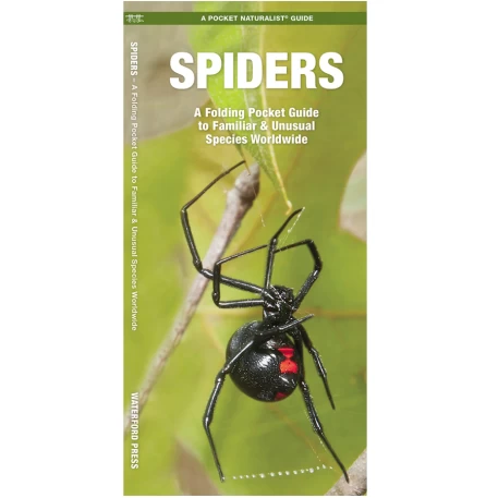 Spider Outdoor Hiking Bundle