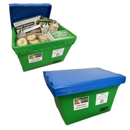 Land and Water Creatures STEAM Bin