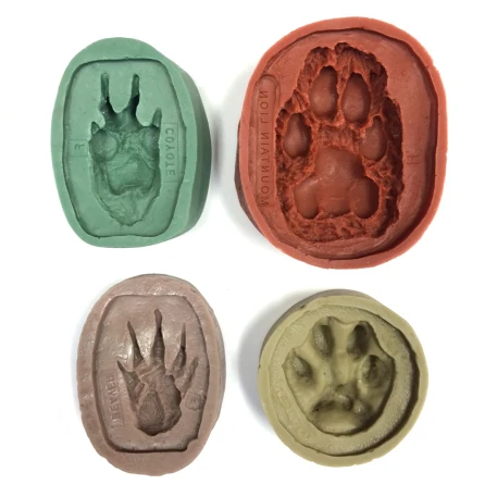 North American Animal Track Molds (Set of 16)