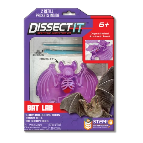 Dissect-It Bat Lab