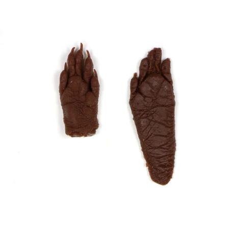 Raccoon Track: Vinyl Replicas (front & hind)