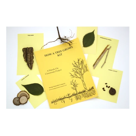 How a Tree Grows Kit