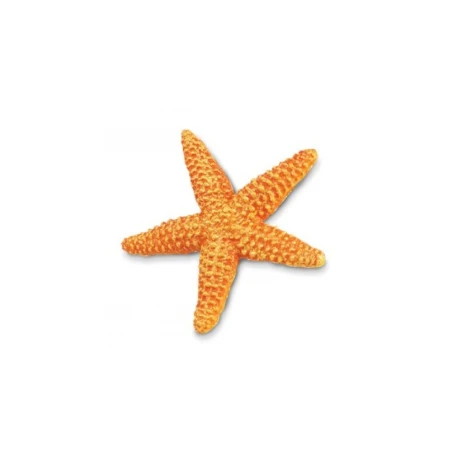 Sea Star Replica
