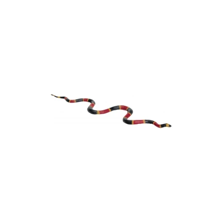 Coral Snake Replica