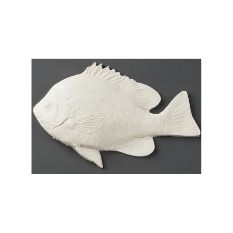 Blue Gill Paintable Fish Print