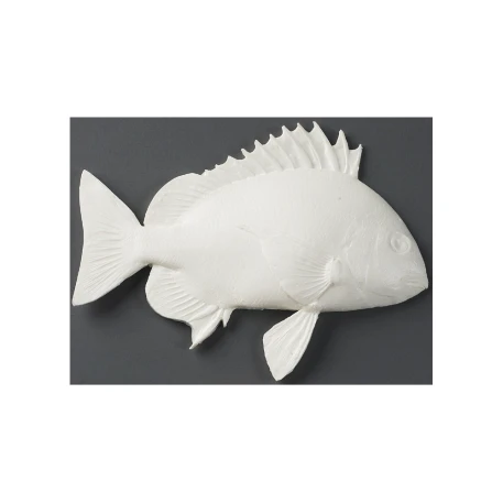 Sheepshead Fish Print Kit - Fish Paint Kit