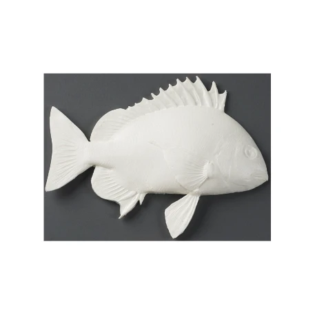 Sheepshead Paintable Fish Print