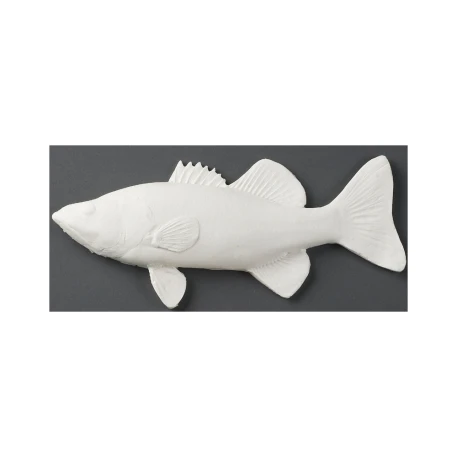 Largemouth Bass Paintable Fish Print