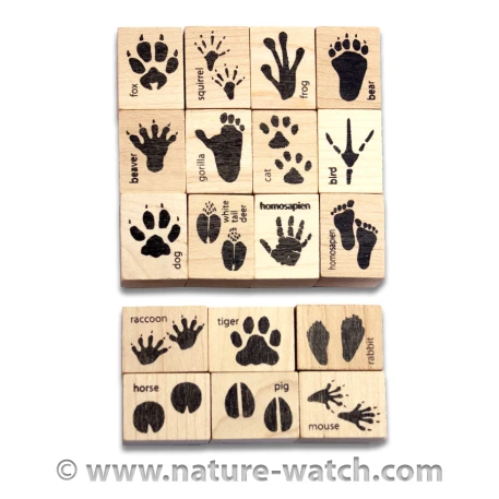 Ink 'n Stamp Animal Prints