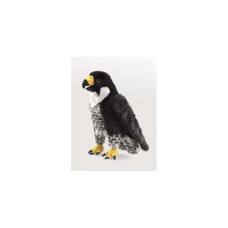 Peregrine Falcon Puppet