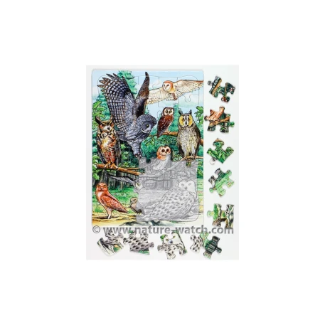 North American Owls Puzzle