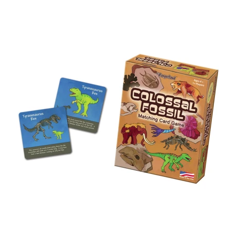 Colossal Fossil Matching Card Game