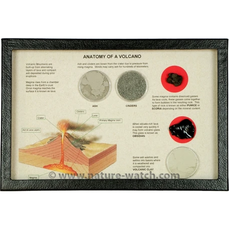Anatomy of a Volcano Display