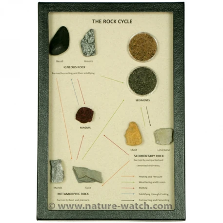 Rock Cycle Display