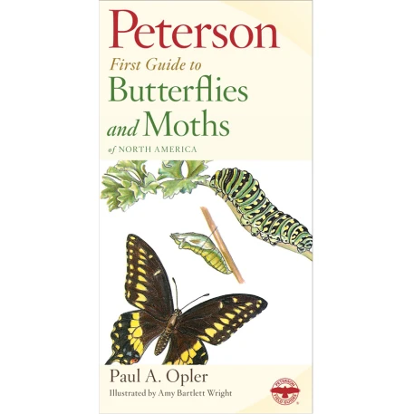 Butterflies and Moths First Guide