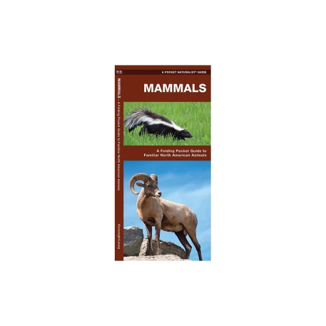 Mammals Pocket Naturalist Guide: Pocket Field Guide