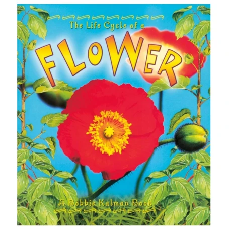 The Life Cycle of a Flower Book