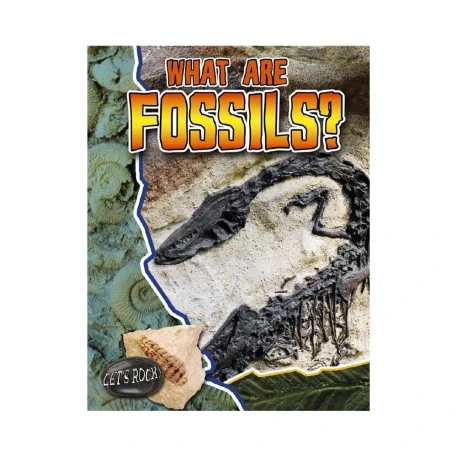 What Are Fossils? Book